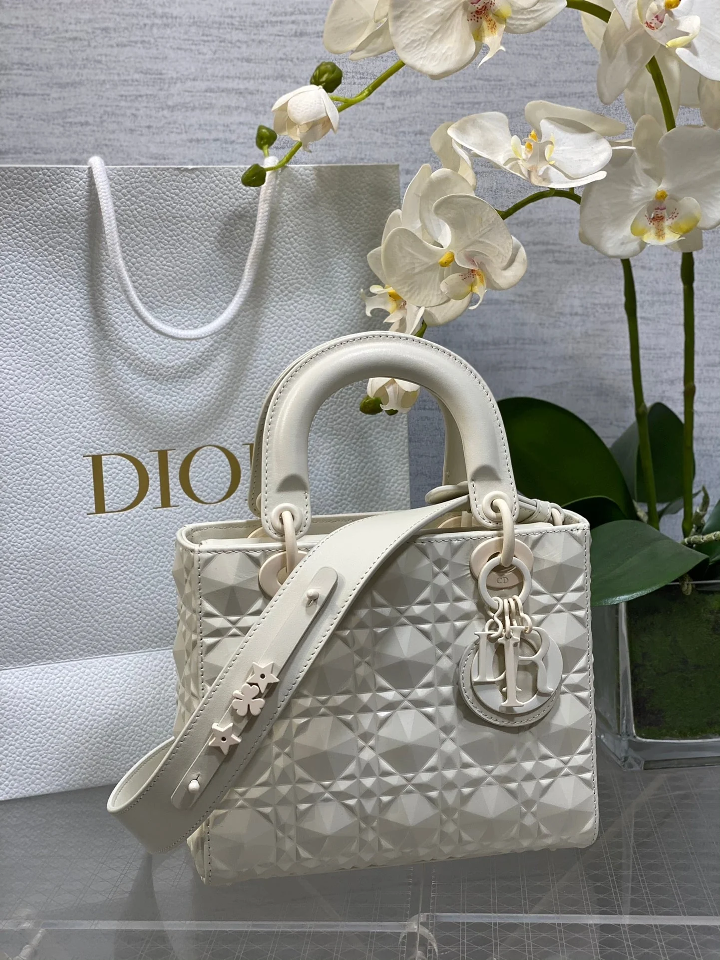 CD lady bag