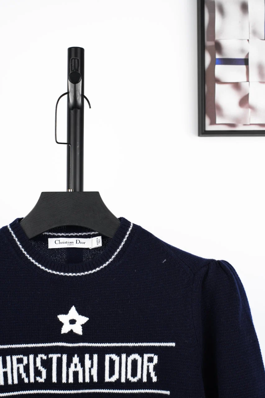 D 25ss wool embroidered knitted t-shirt