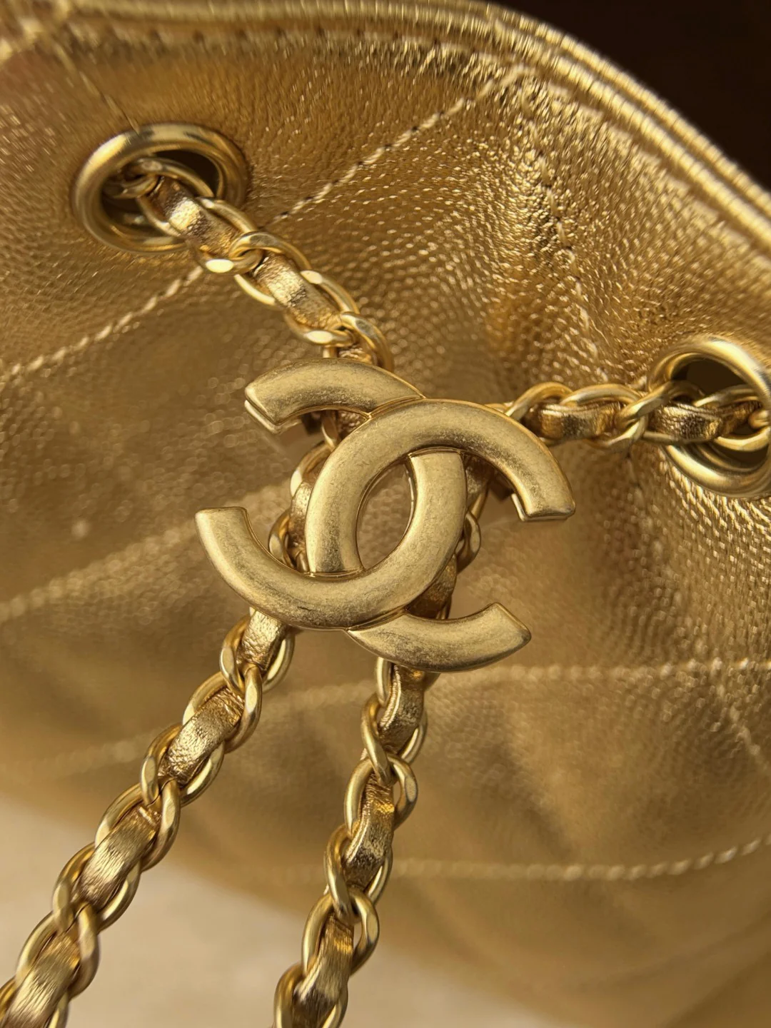 Chan 25S hobo bags