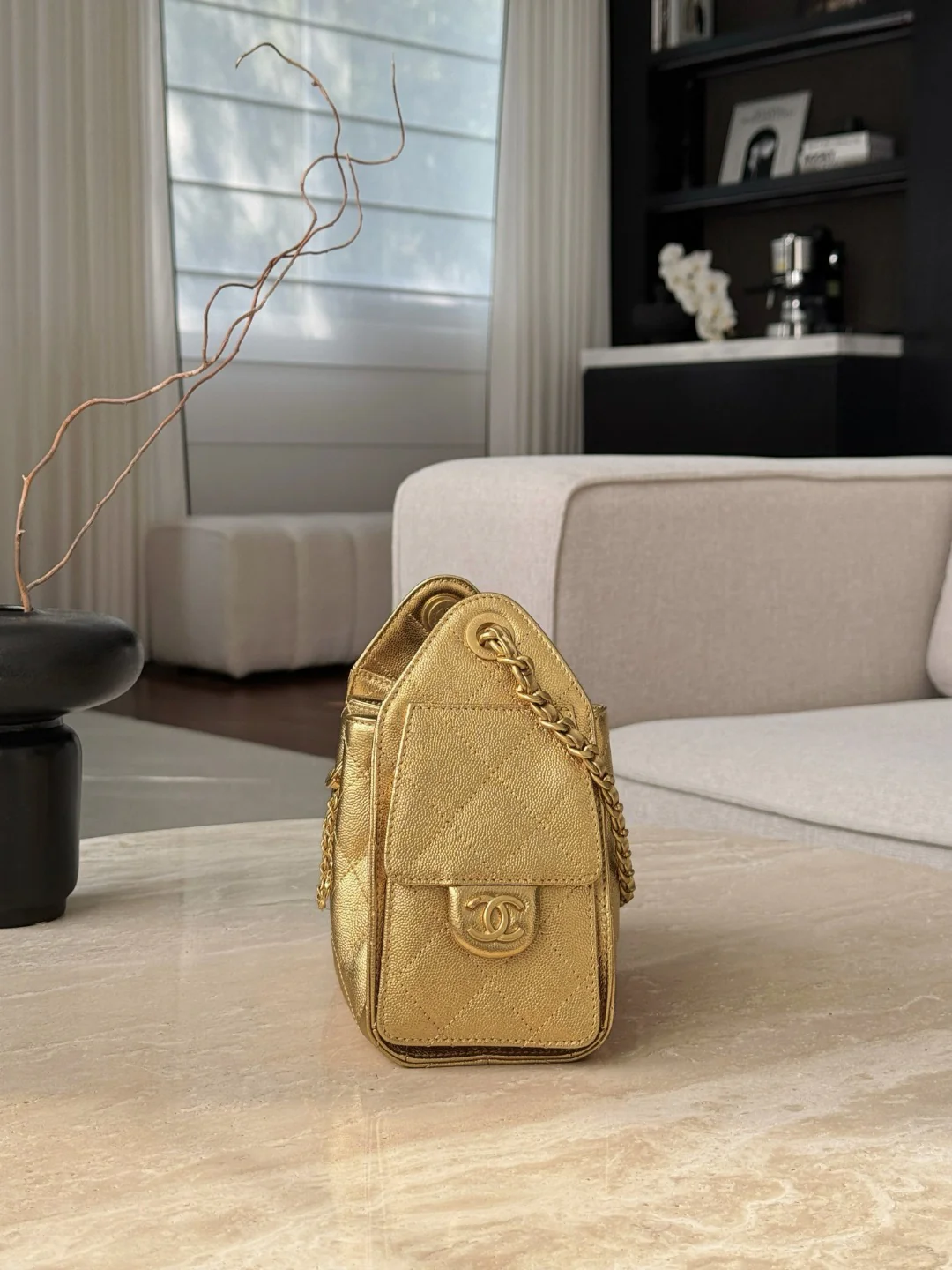 Chan 26c hobo bag