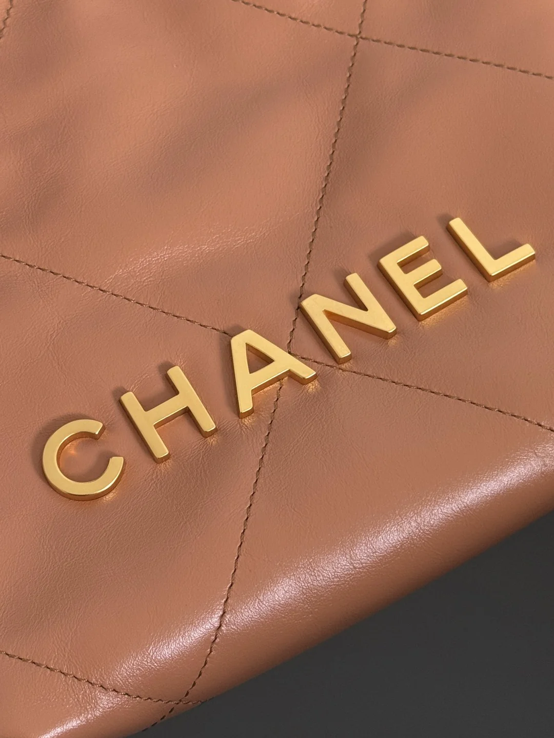 Chan mini  22 bag bucket bag