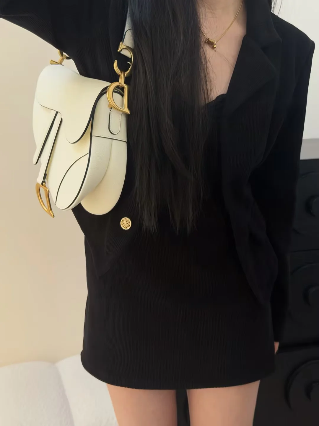 CD 26ss saddle bag