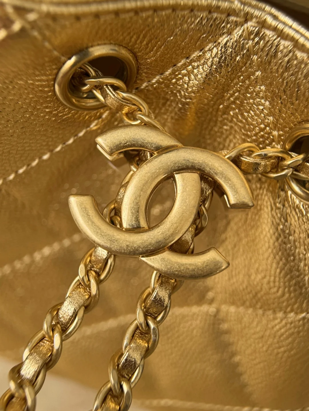 Chan 26c hobo bag