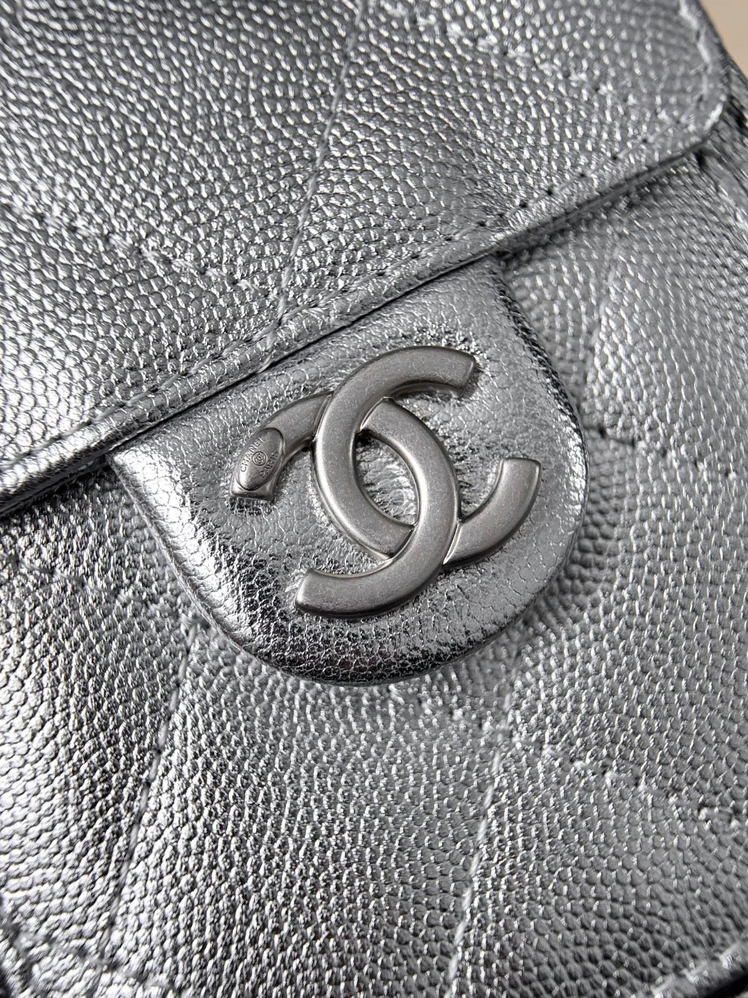 Chan 26C hobo bags