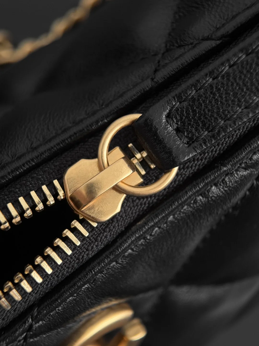 Chan 25S hobo bag