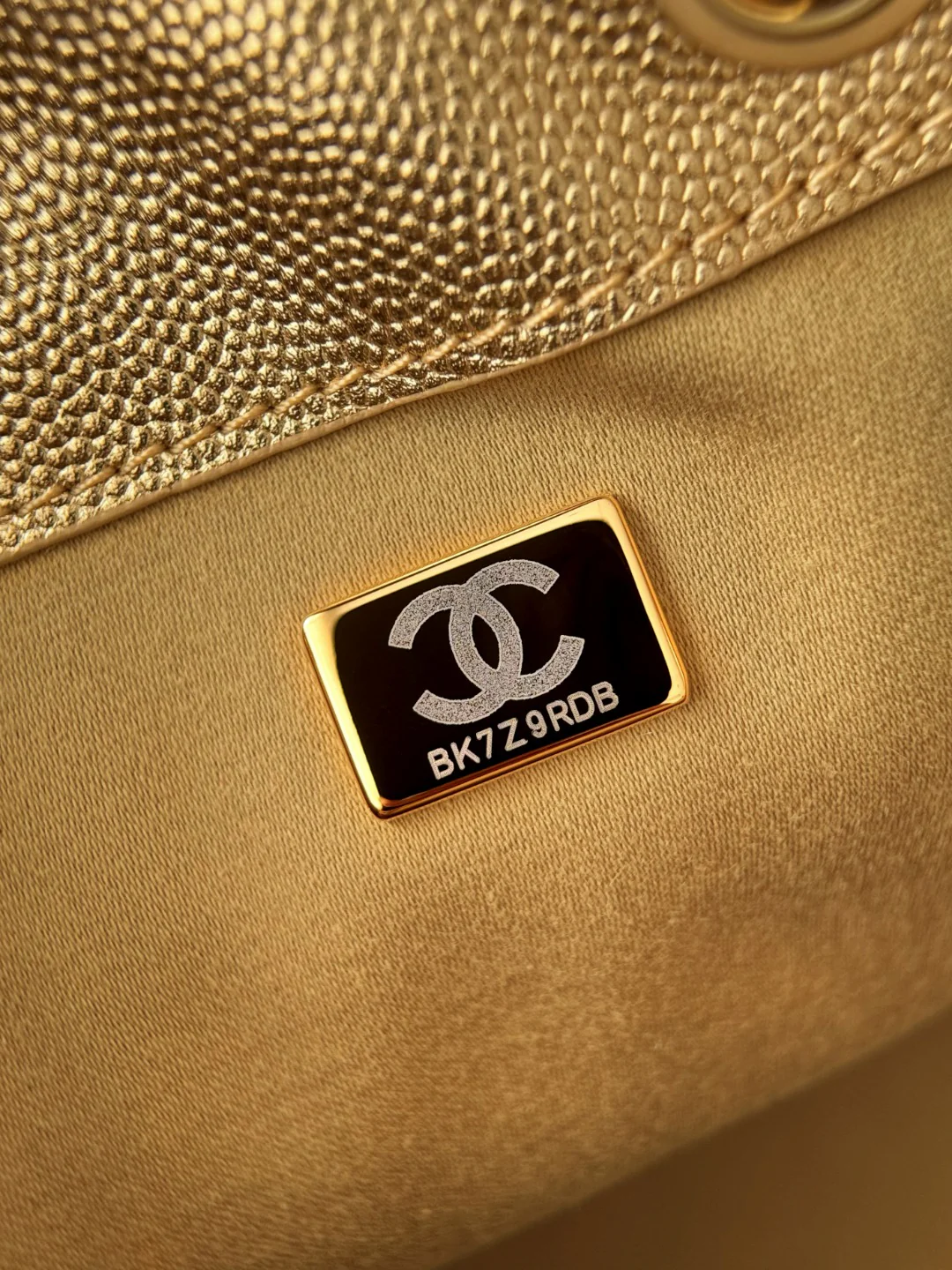 Chan 25S hobo bags