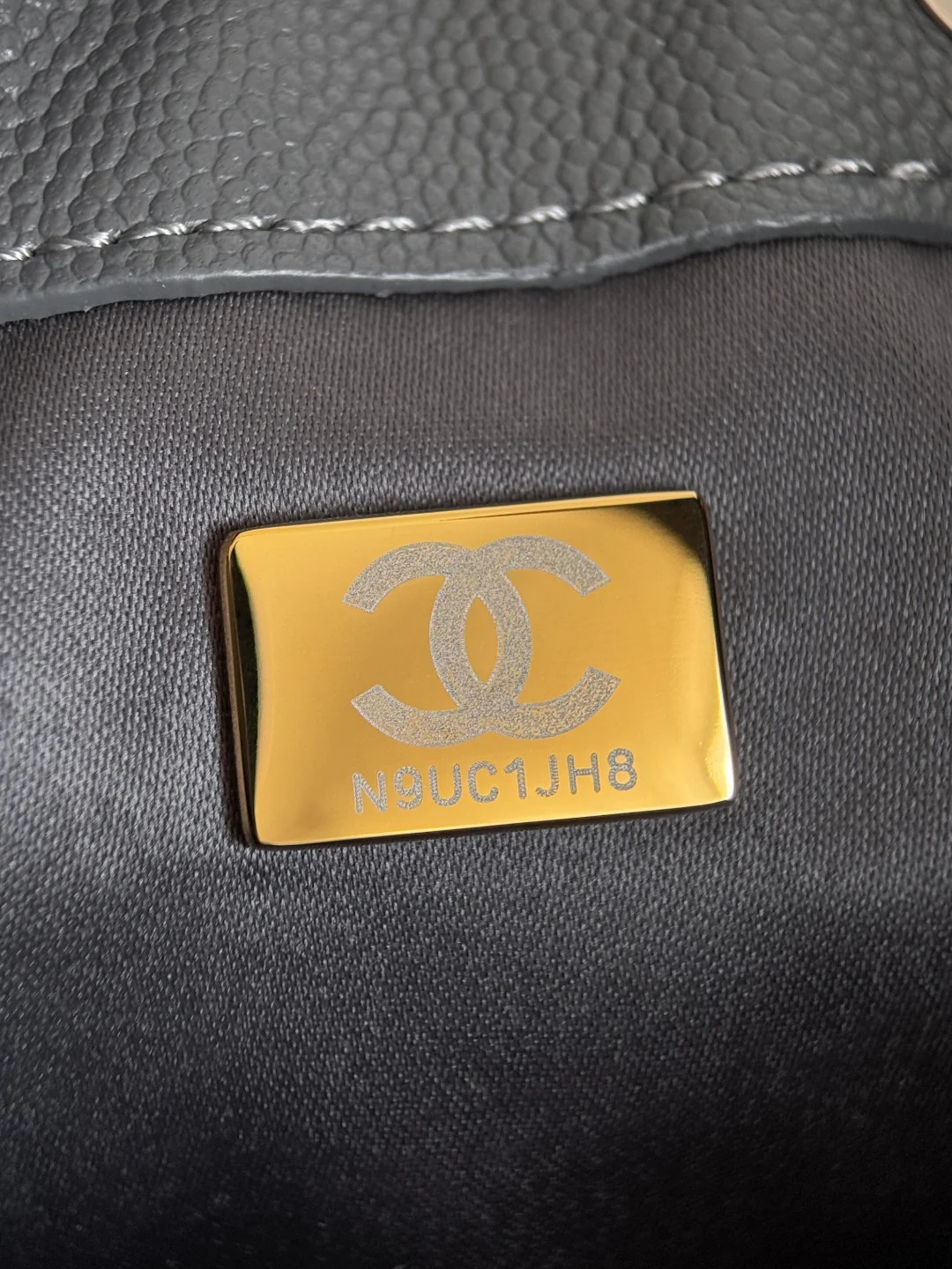 Chan 25B hobo bags