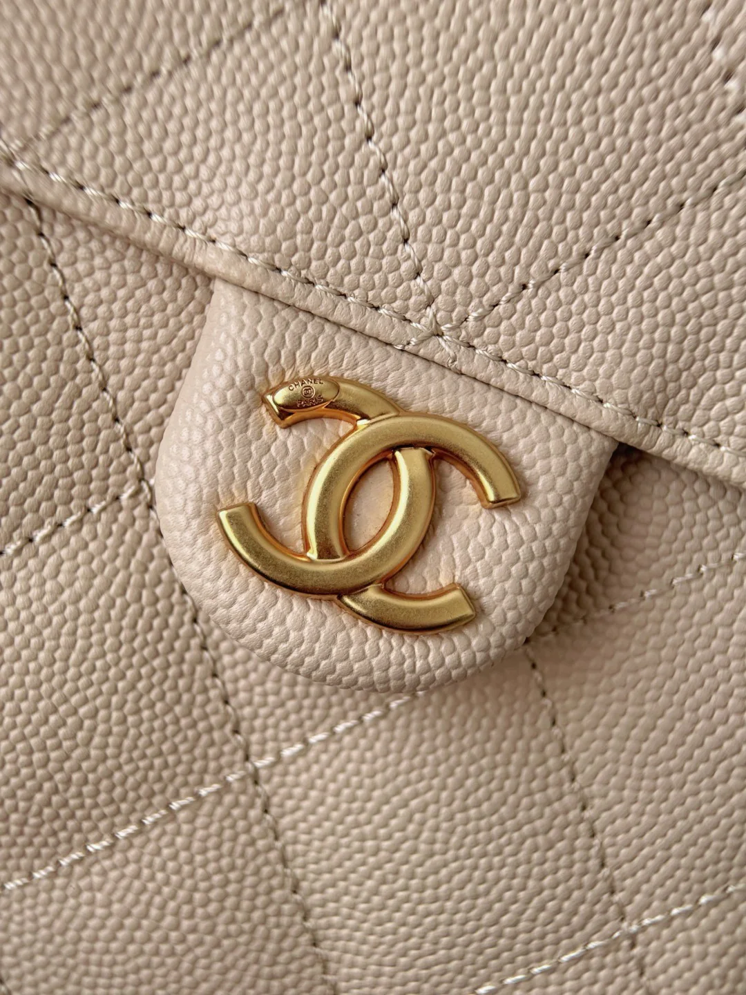 Chan 25S hobo bag