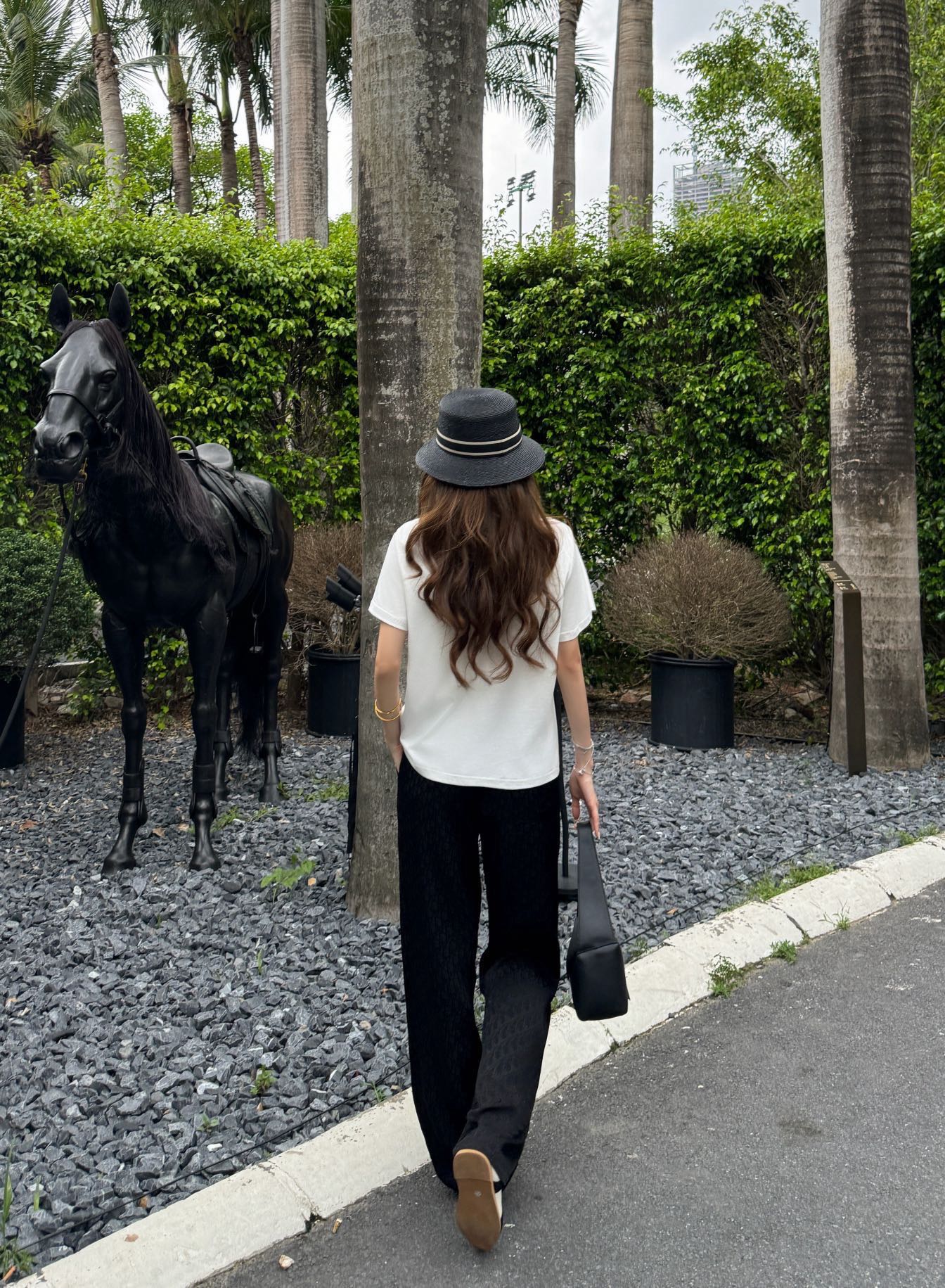 CD 26ss t-shirt wide leg pants set