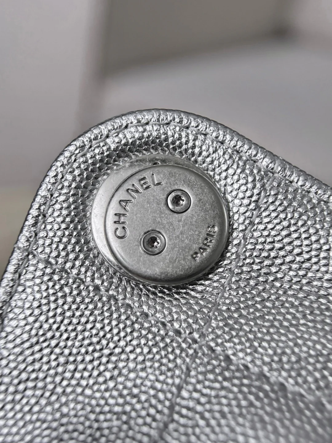 Chan 26C hobo bags