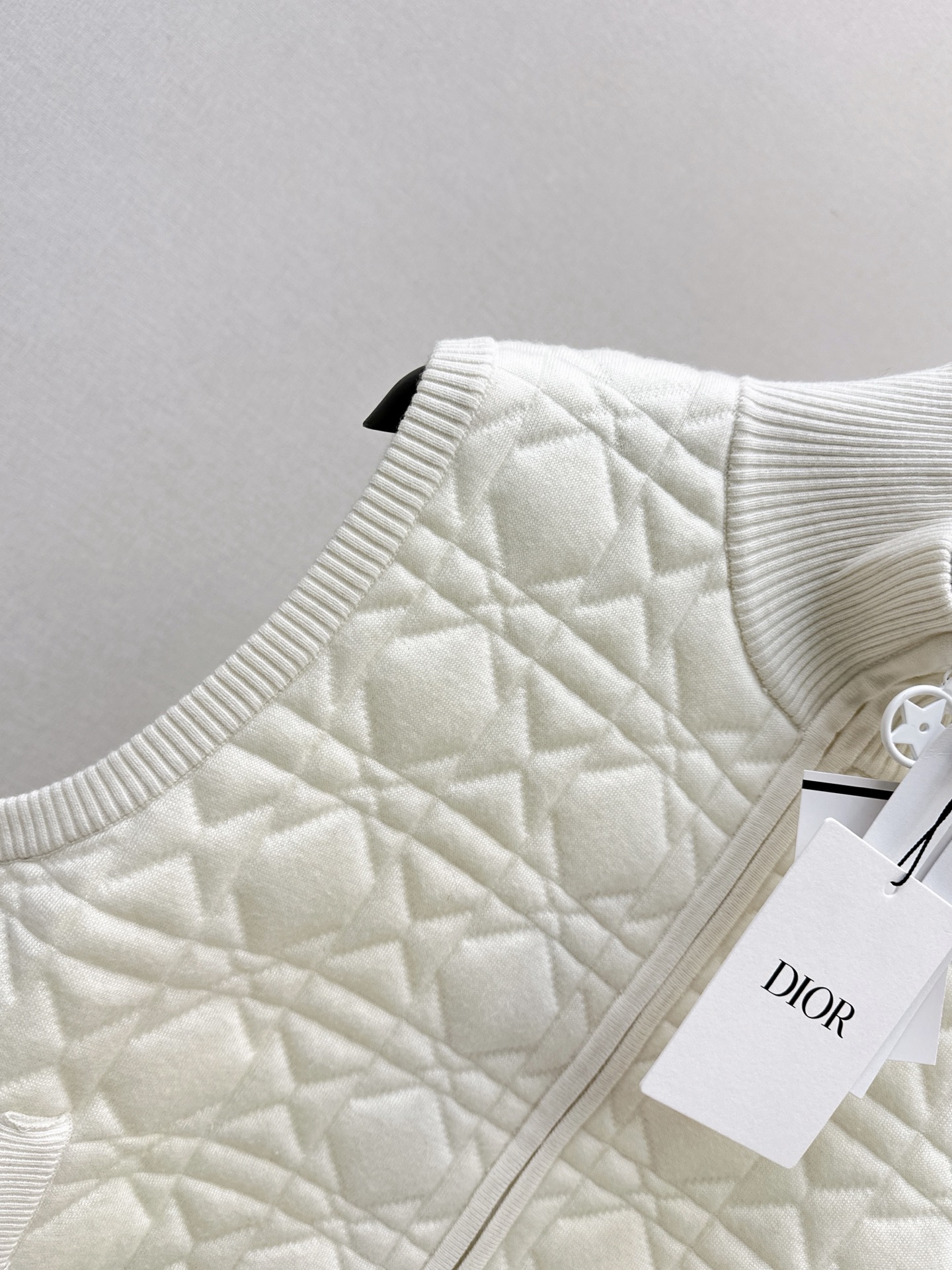 CD 26fw embroidery knit vest