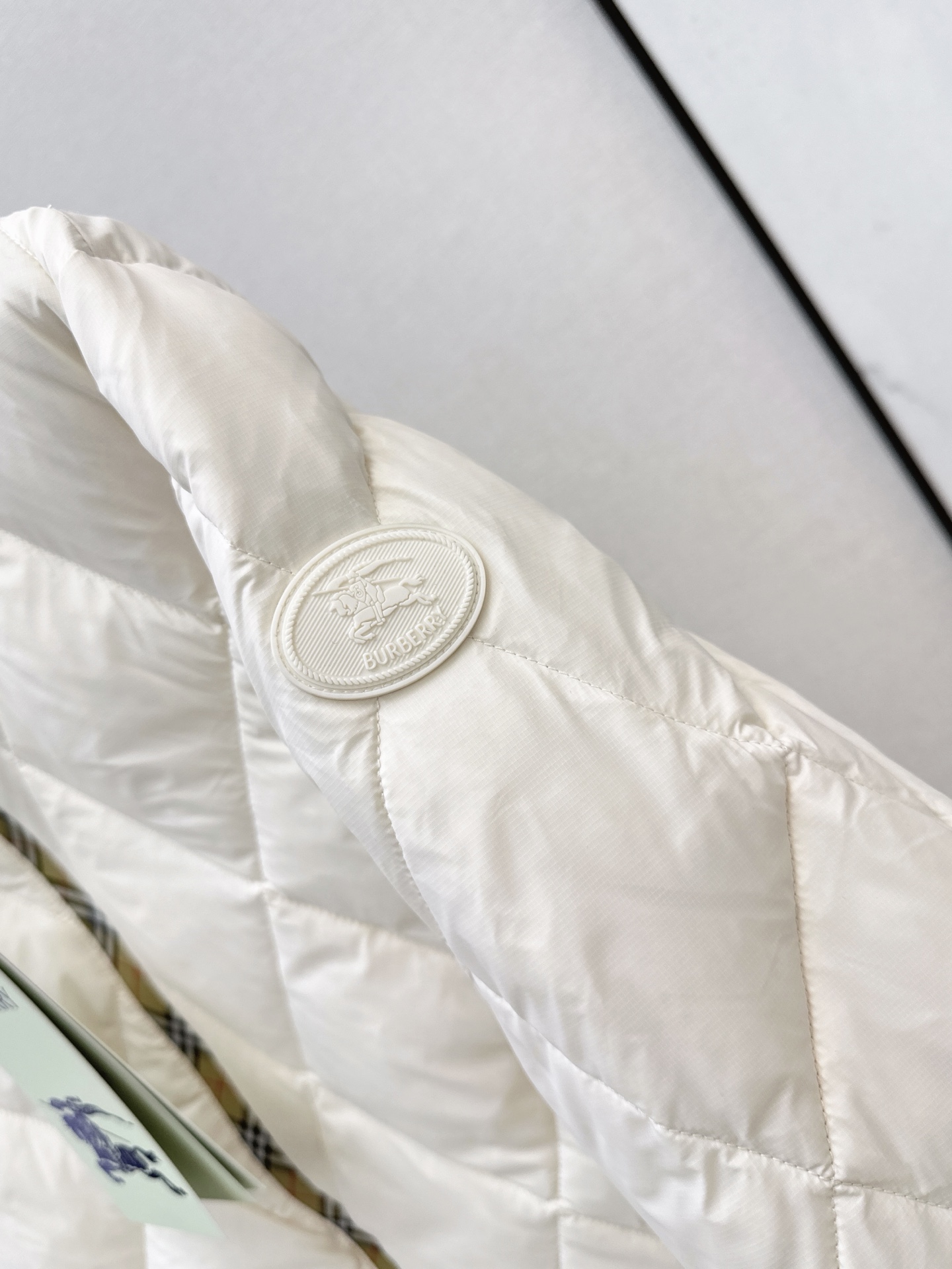 Bur 26fw down jacket
