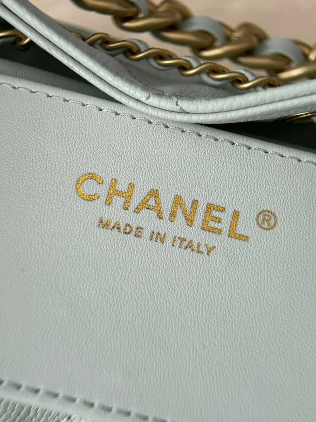 Chan 25S hobo bag