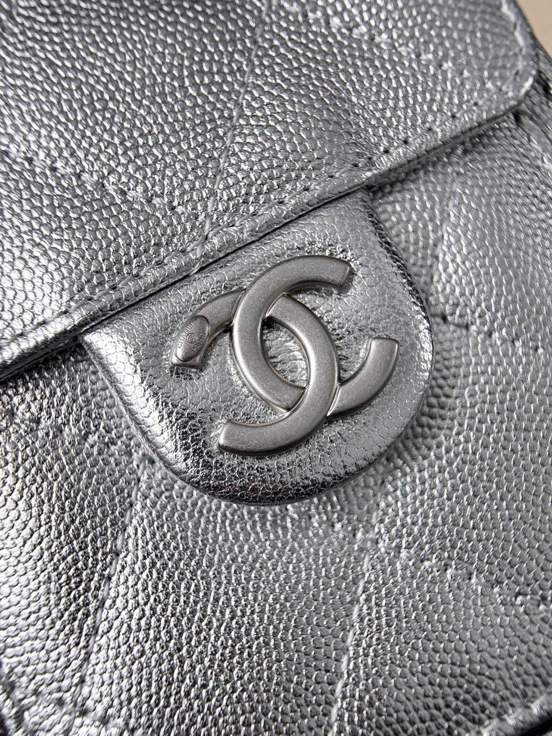 Chan 26C hobo bags