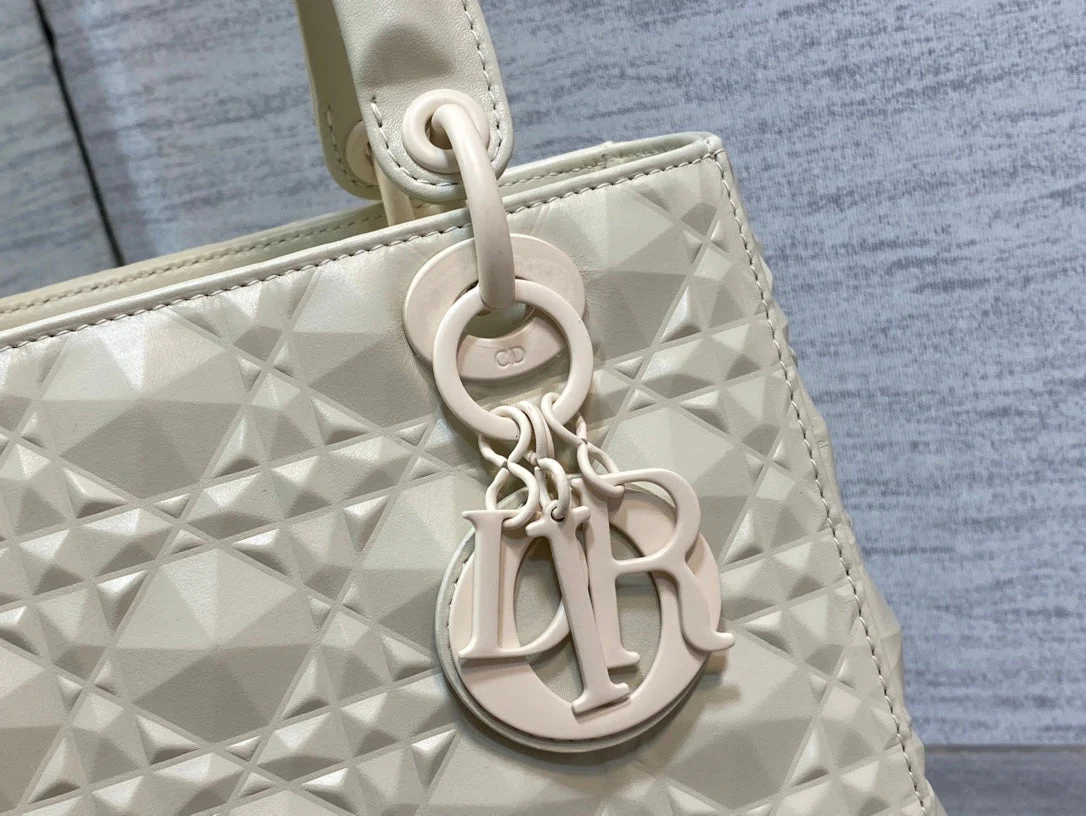 CD lady bag