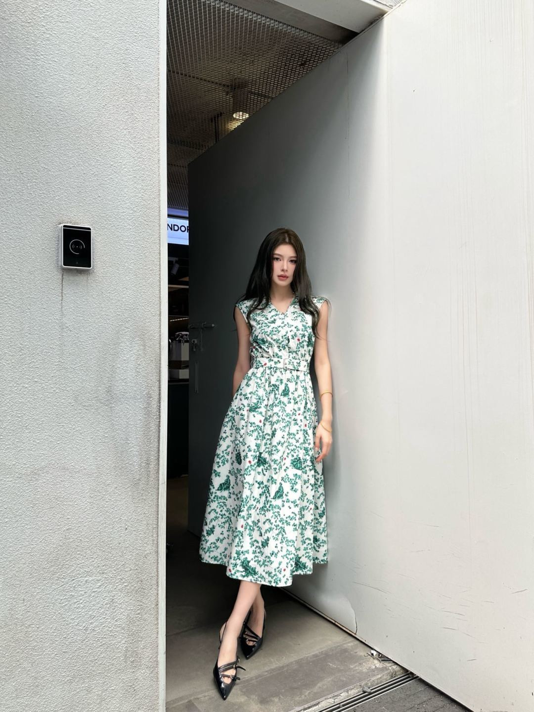 CD 26ss sleeveless print dress