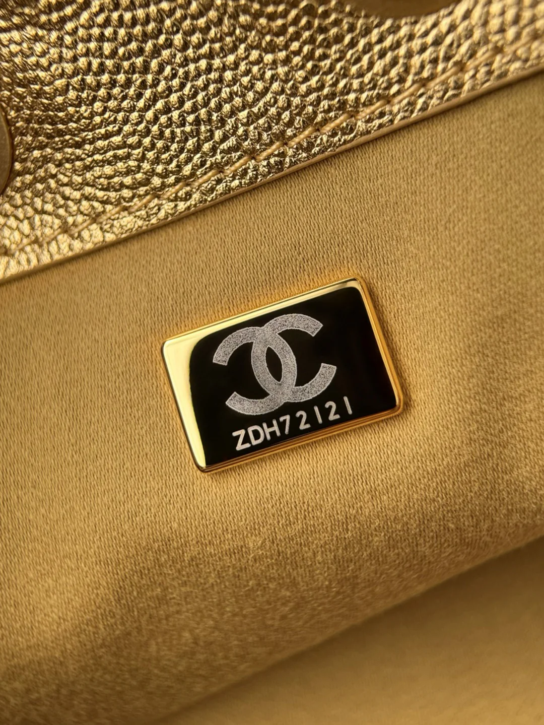 Chan 26c hobo bag