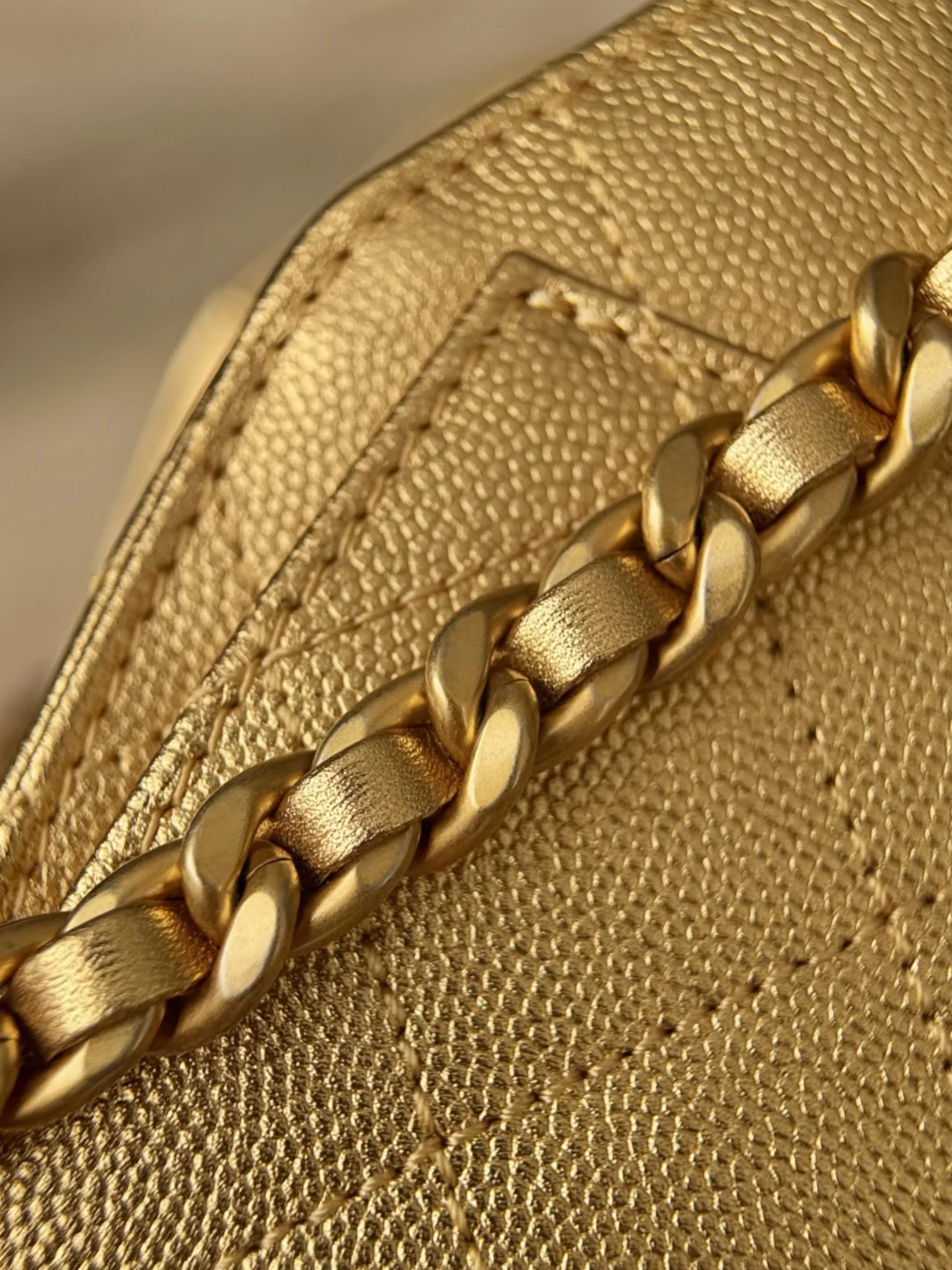 Chan 26c hobo bag