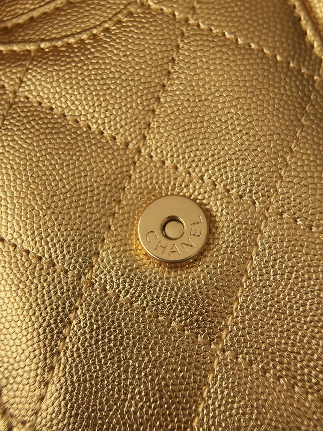 Chan 26c hobo bag