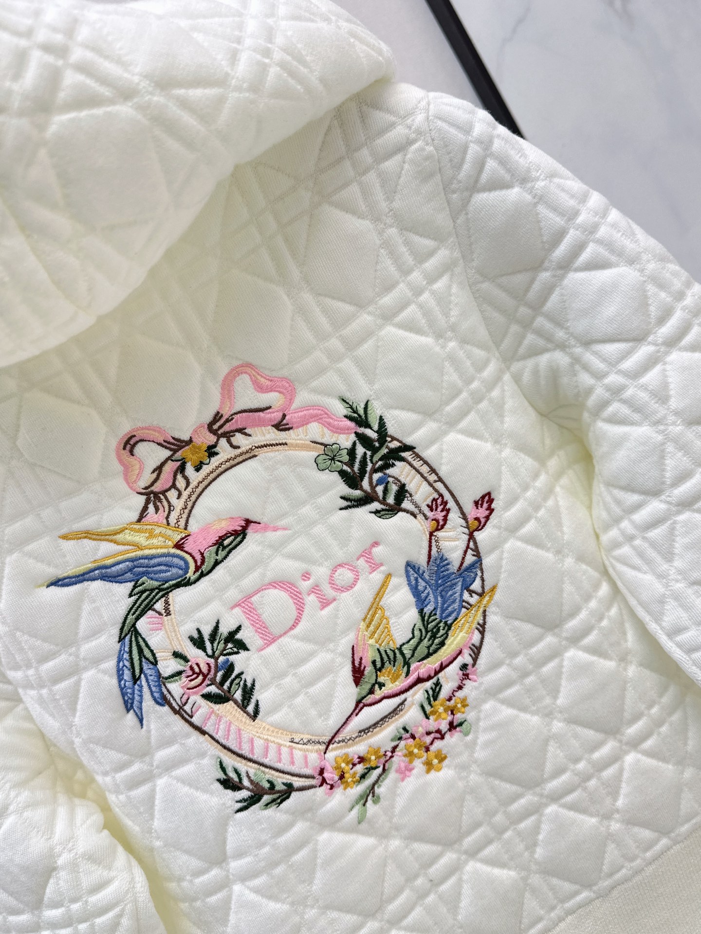 CD 26fw embroidery hooded jacket