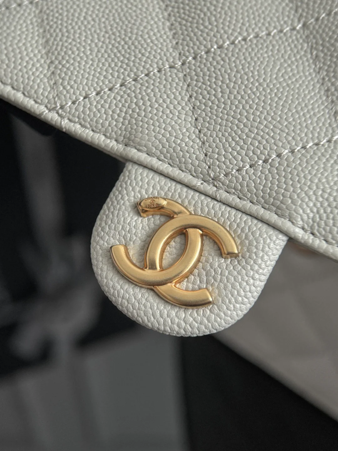 Chan 25B hobo bags