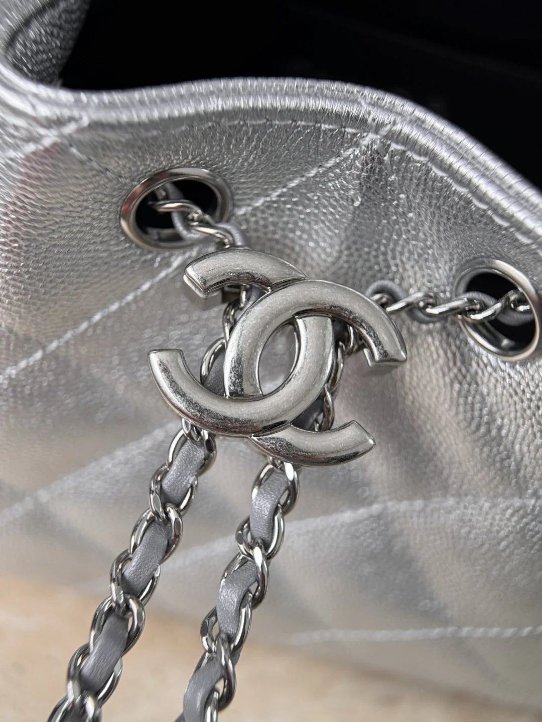 Chan 26C hobo bags