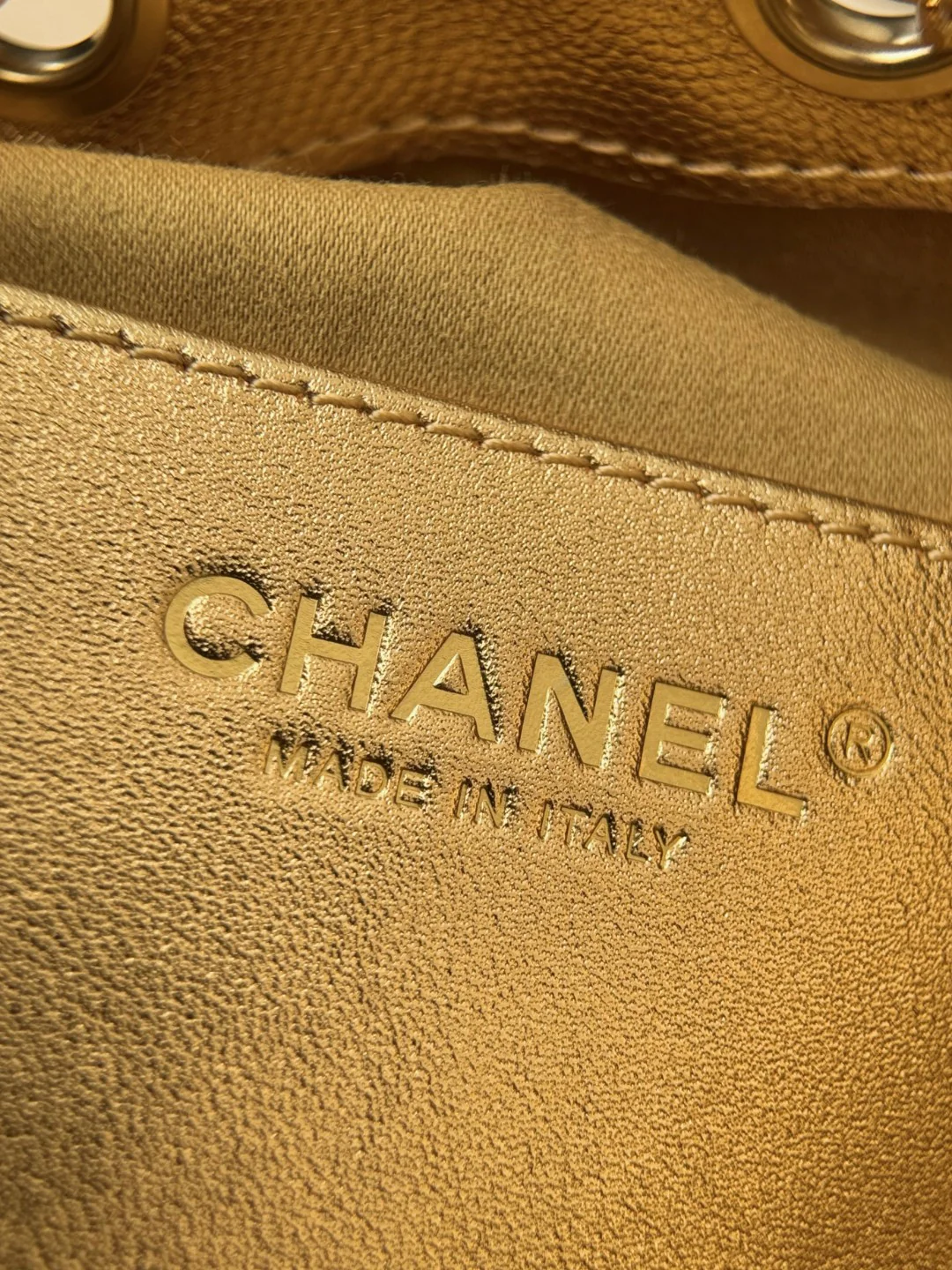 Chan 26c hobo bag