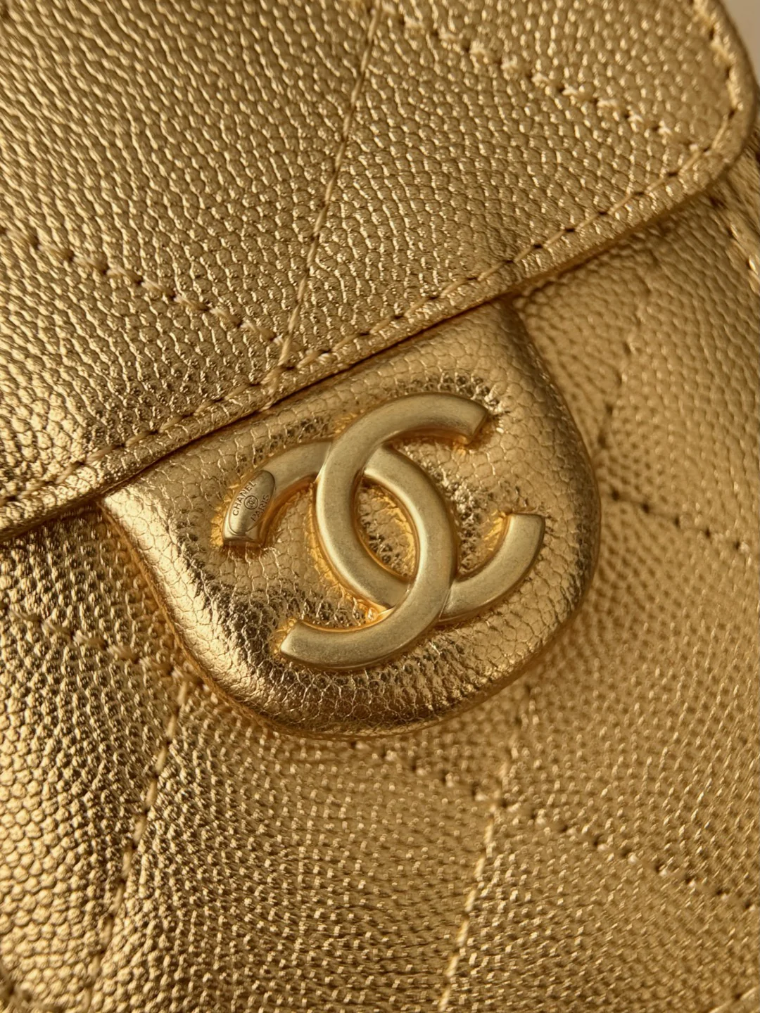 Chan 26c hobo bag